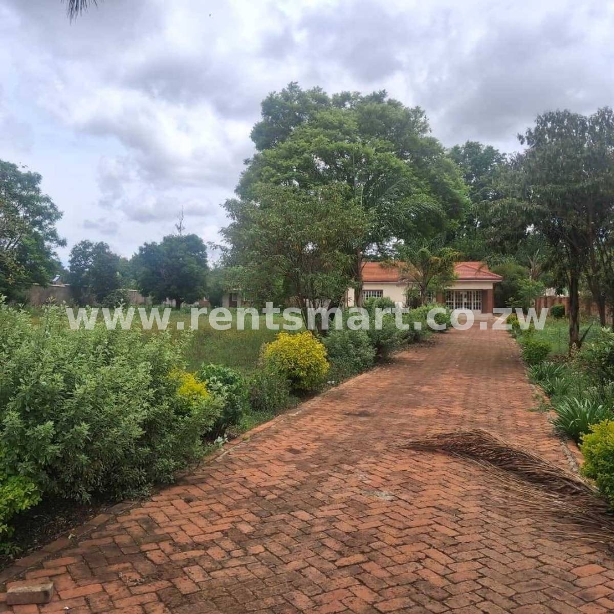 MT PLEASANT 4 BEDROOMED HOUSE TO RENT - Image 6