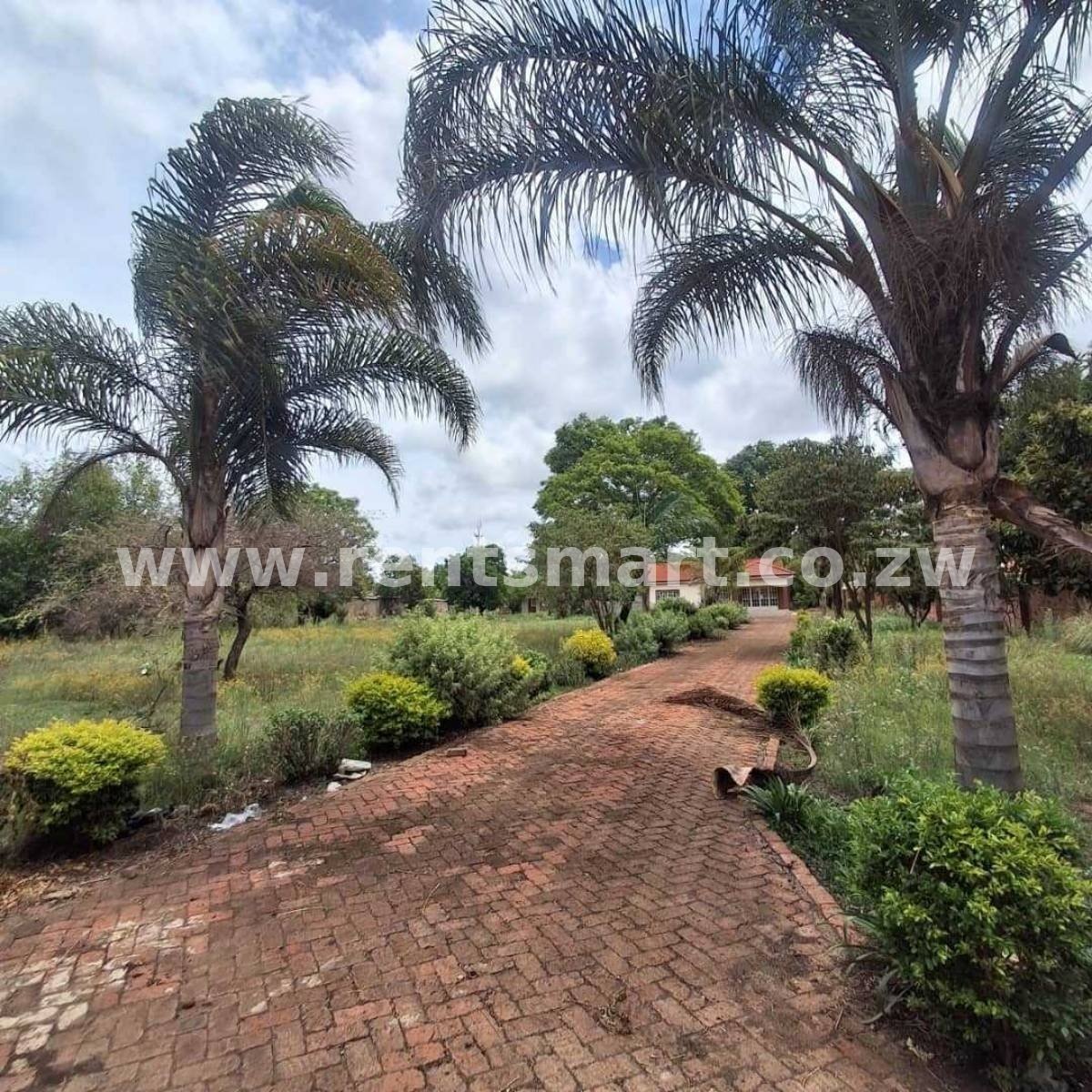 MT PLEASANT 4 BEDROOMED HOUSE TO RENT - Image 5